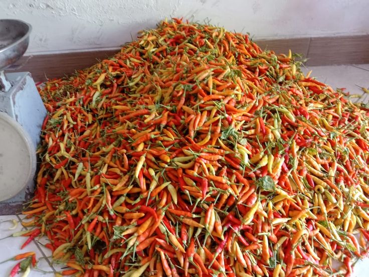 Cabai Rawit Merah