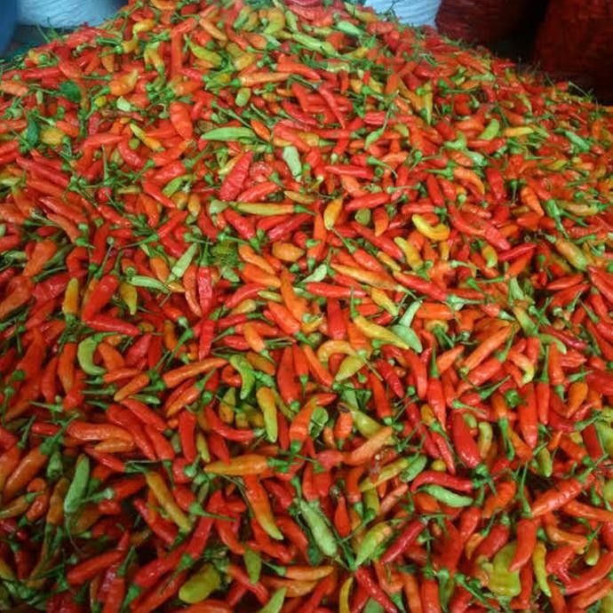 Cabai Rawit Merah