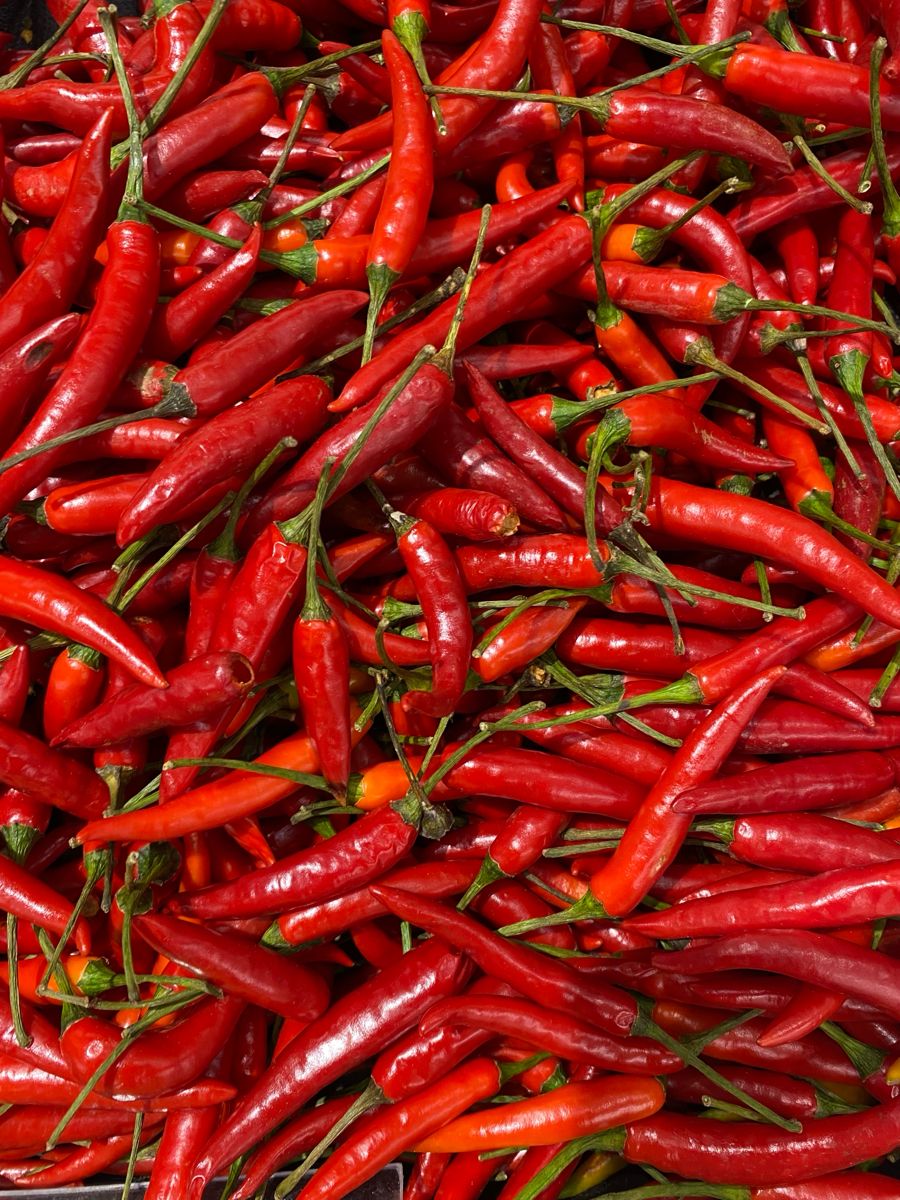 Cabai Rawit Merah