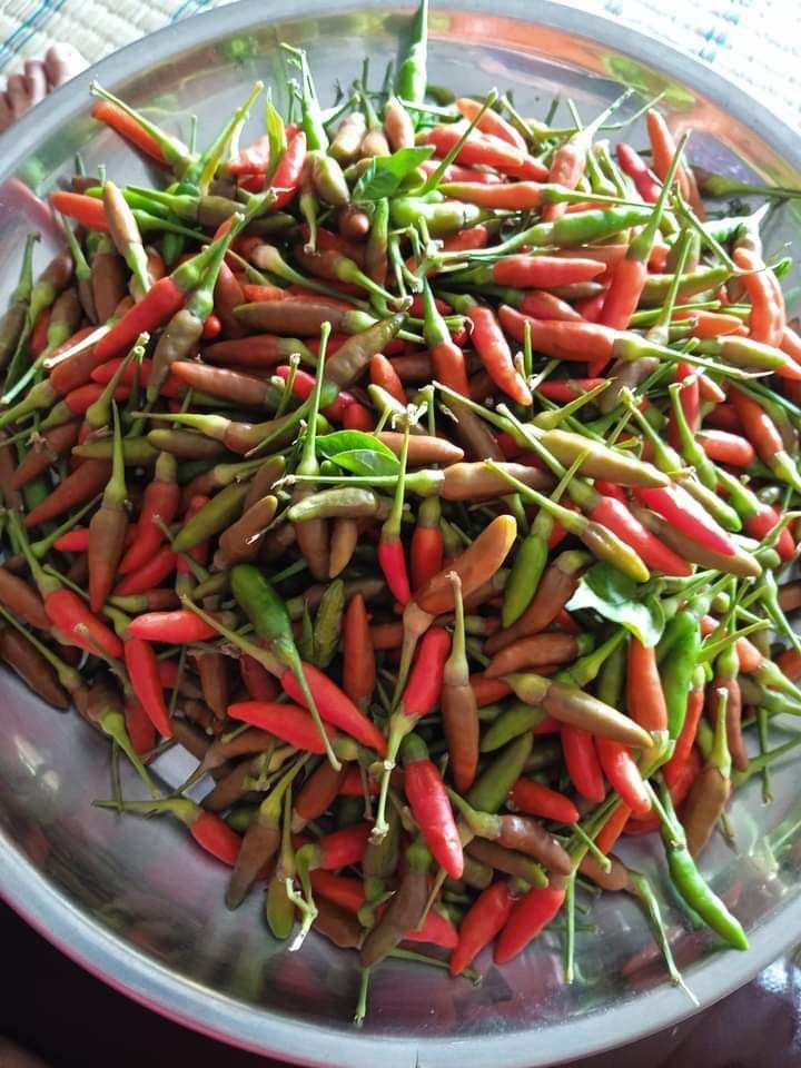 Cabai Rawit Merah