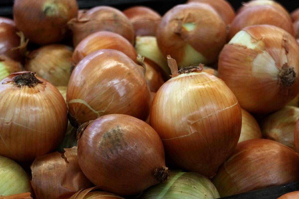 Bawang Bombai